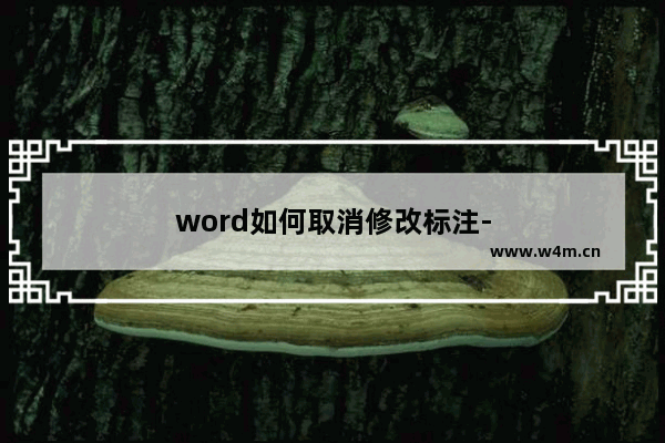 word如何取消修改标注-