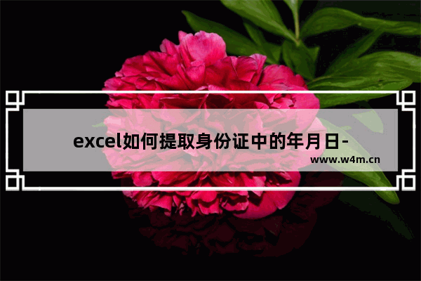 excel如何提取身份证中的年月日-