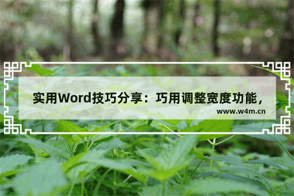 实用Word技巧分享：巧用调整宽度功能，轻松使文字对齐-