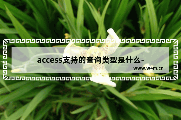 access支持的查询类型是什么-