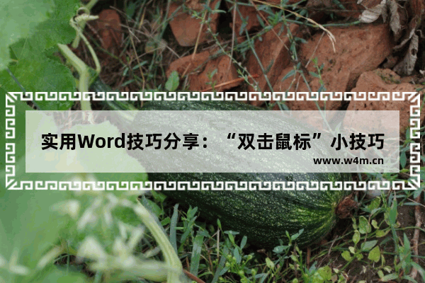 实用Word技巧分享：“双击鼠标”小技巧，让小白也能效率飙升！-