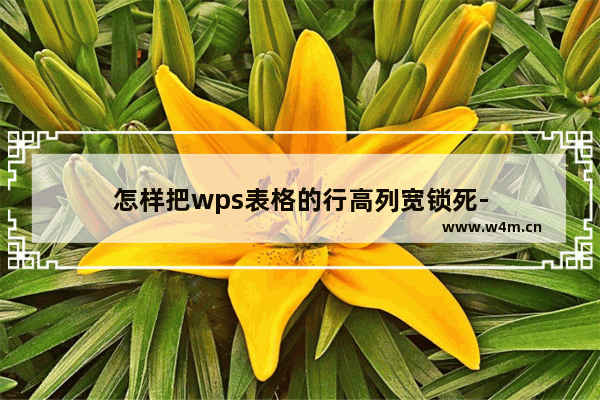 怎样把wps表格的行高列宽锁死-