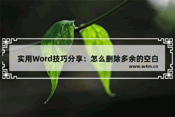 实用Word技巧分享：怎么删除多余的空白页-