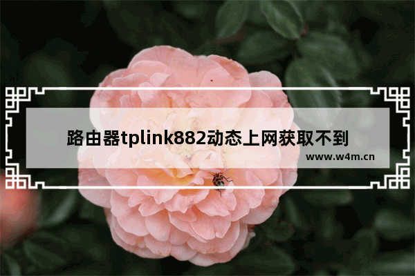 路由器tplink882动态上网获取不到ip怎么办