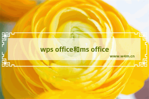 wps office和ms office的区别是什么-