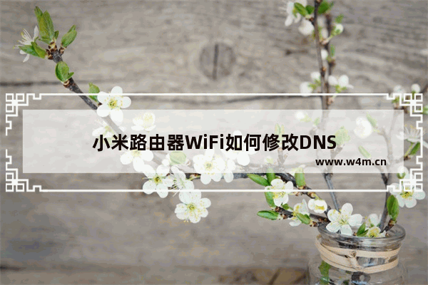 小米路由器WiFi如何修改DNS