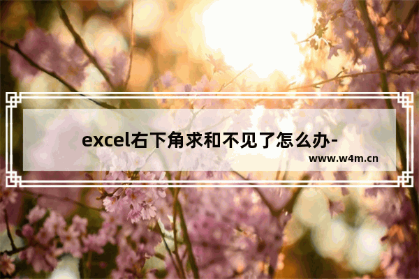 excel右下角求和不见了怎么办-