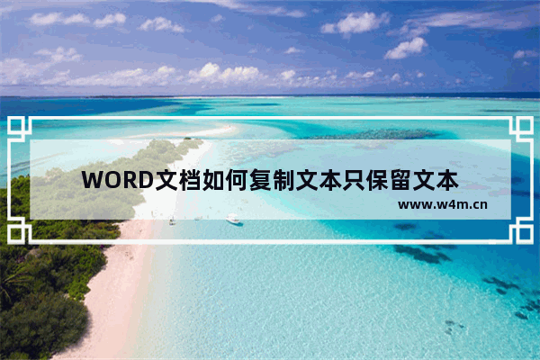 WORD文档如何复制文本只保留文本