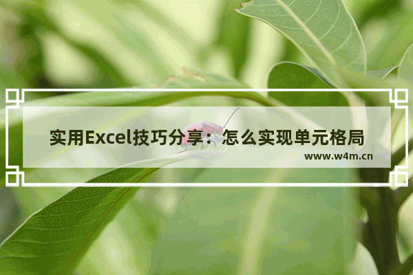 实用Excel技巧分享：怎么实现单元格局部加密-