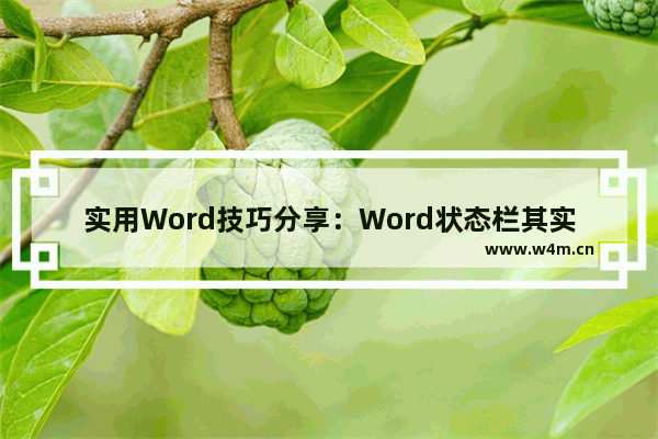 实用Word技巧分享：Word状态栏其实很实用！-