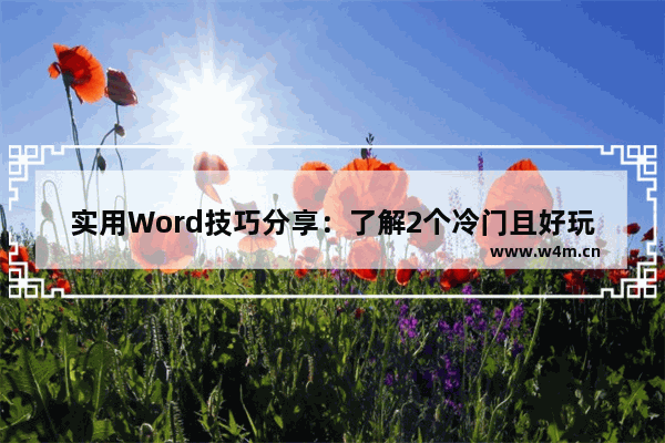 实用Word技巧分享：了解2个冷门且好玩的随机函数-