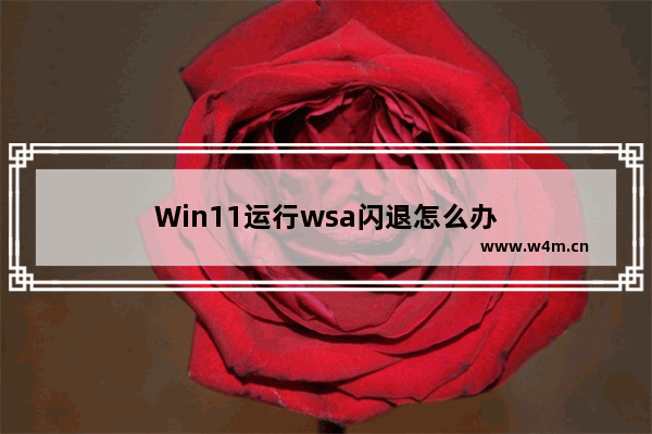 Win11运行wsa闪退怎么办