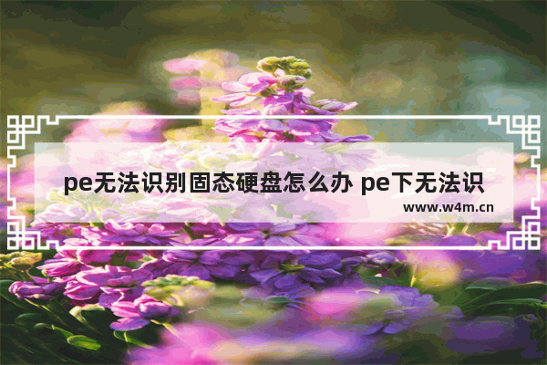 pe无法识别固态硬盘怎么办 pe下无法识别固态硬盘