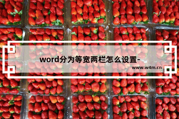 word分为等宽两栏怎么设置-