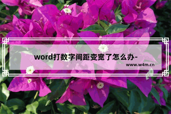 word打数字间距变宽了怎么办-