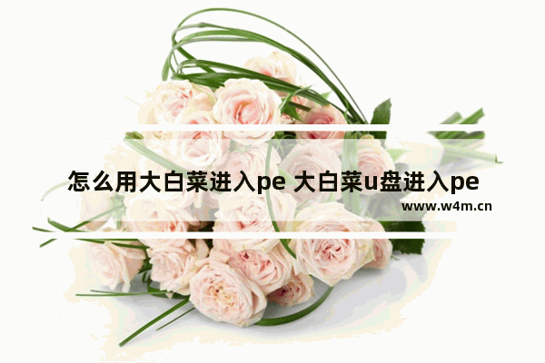 怎么用大白菜进入pe 大白菜u盘进入pe系统