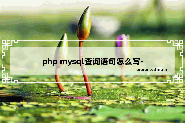 php mysql查询语句怎么写-