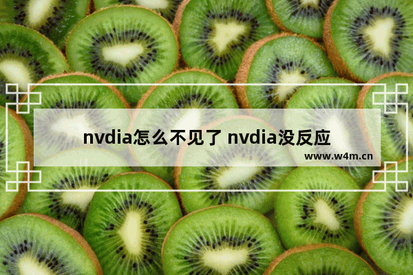 nvdia怎么不见了 nvdia没反应