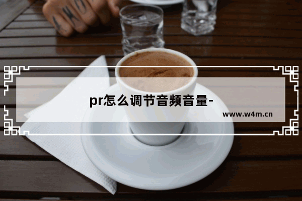 pr怎么调节音频音量-