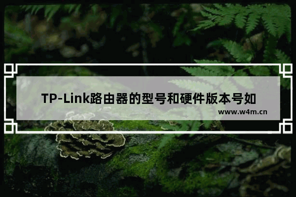 TP-Link路由器的型号和硬件版本号如何查看？