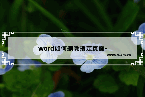 word如何删除指定页面-