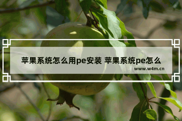 苹果系统怎么用pe安装 苹果系统pe怎么做