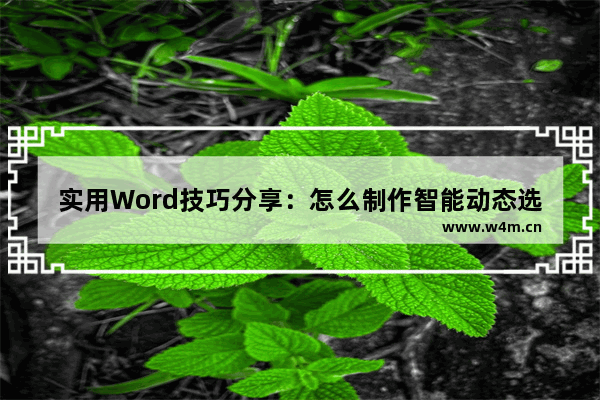 实用Word技巧分享：怎么制作智能动态选项-