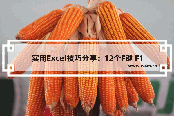 实用Excel技巧分享：12个F键 F1～F12的常见用法分享-