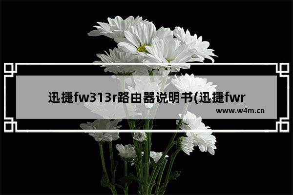 迅捷fw313r路由器说明书(迅捷fwr310路由器使用说明书)