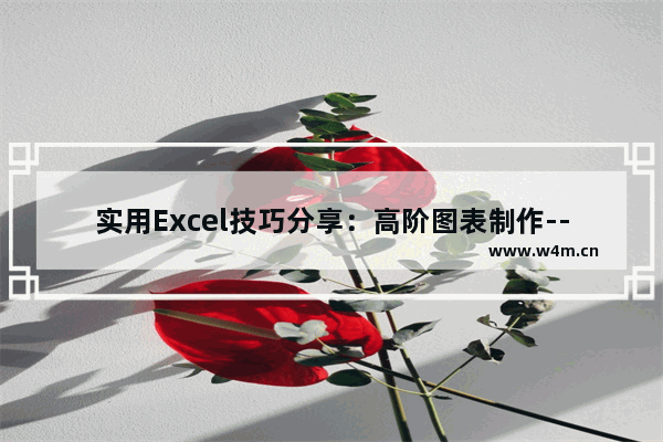 实用Excel技巧分享：高阶图表制作--柱形图-