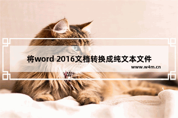 将word 2016文档转换成纯文本文件时一般使用什么命令项-