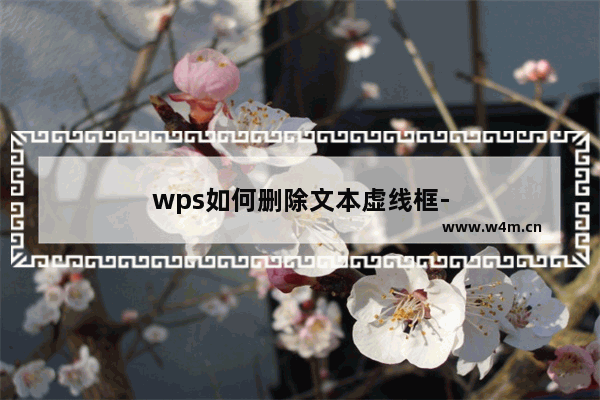 wps如何删除文本虚线框-