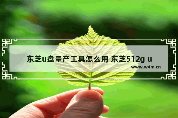 东芝u盘量产工具怎么用 东芝512g u盘