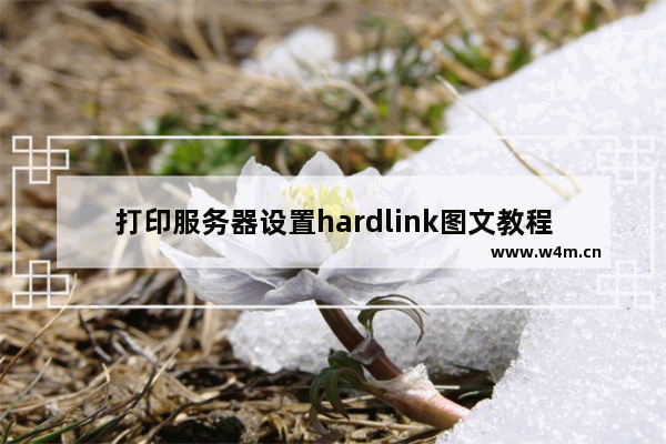 打印服务器设置hardlink图文教程