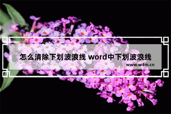 怎么清除下划波浪线 word中下划波浪线怎么删除