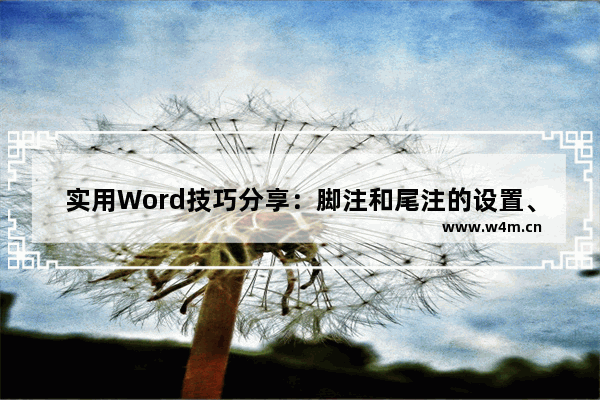 实用Word技巧分享：脚注和尾注的设置、转换和删除-