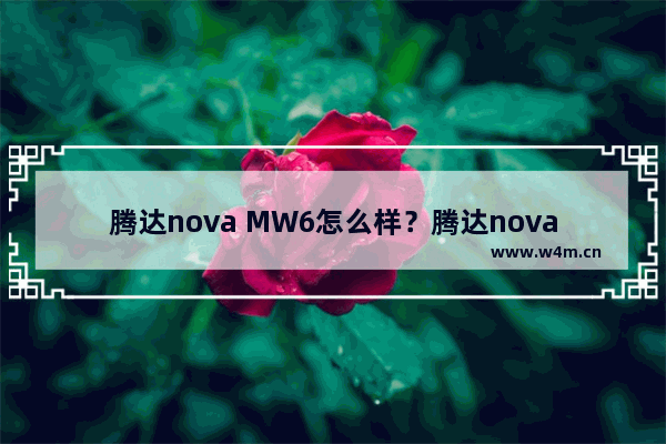 腾达nova MW6怎么样？腾达nova MW6分布式路由器WiFi信号覆盖全面评测