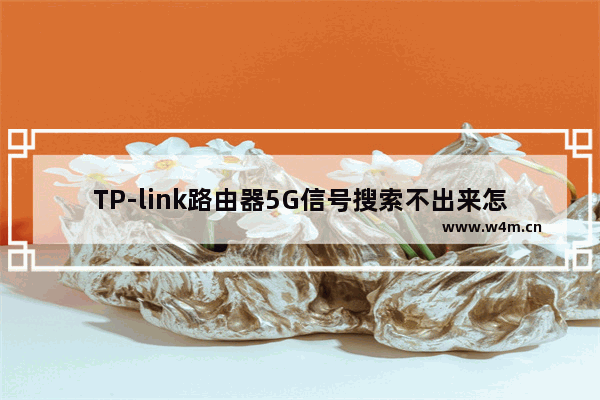 TP-link路由器5G信号搜索不出来怎么办