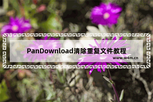 PanDownload清除重复文件教程