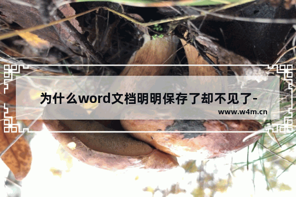 为什么word文档明明保存了却不见了-