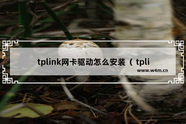 tplink网卡驱动怎么安装（ tplink外置无线网卡驱动）