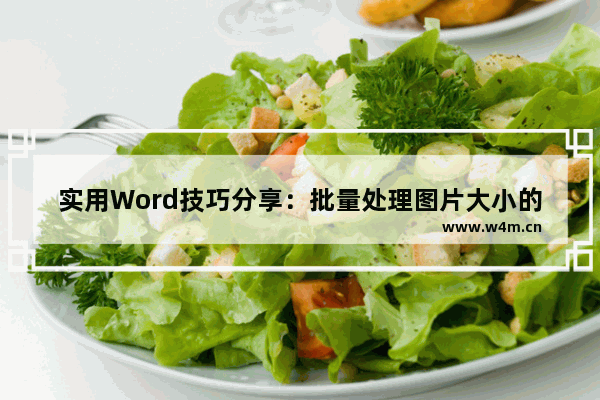 实用Word技巧分享：批量处理图片大小的2个方法-