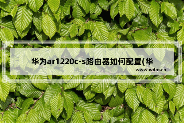 华为ar1220c-s路由器如何配置(华为ar1220f配置手册web)