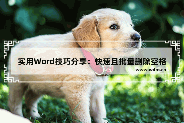 实用Word技巧分享：快速且批量删除空格、空行-