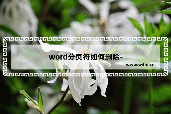 word分页符如何删除-