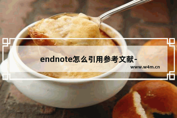 endnote怎么引用参考文献-