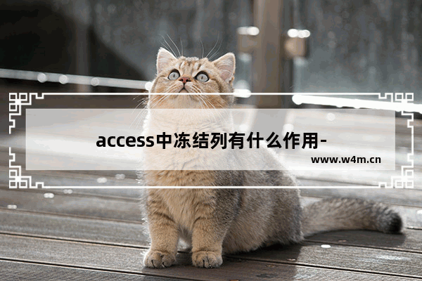 access中冻结列有什么作用-