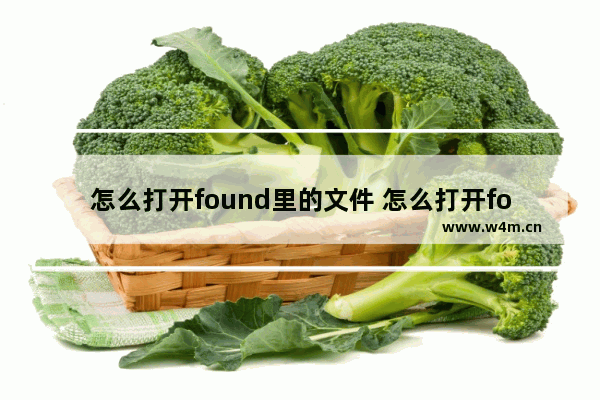 怎么打开found里的文件 怎么打开found里的文件