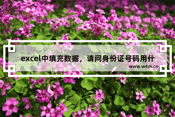 excel中填充数据，请问身份证号码用什么类型存储？-