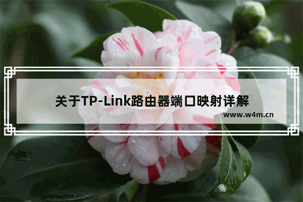 关于TP-Link路由器端口映射详解